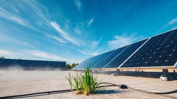 Les avantages d'installer des panneaux solaires photovoltaïques chez soi